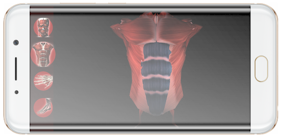 Imagem frente de celular com a logo do Aplicativo Sistema Muscular em 3D