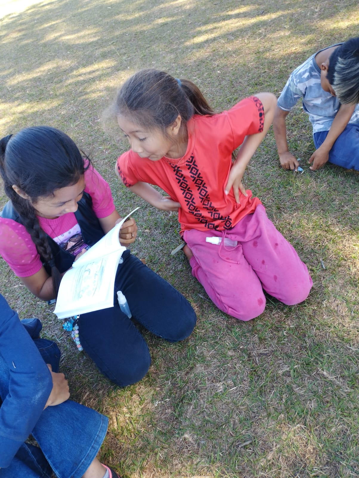 Foto de estudantes indígenas do Colégio Estadual Indígena Cacique Onofre Kanhgren