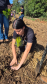 Foto de estudante realizando o Plantio de Pinus elliottii