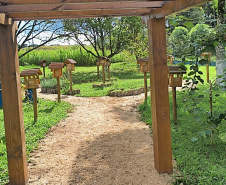 Pergolado da entrada do meliponário do CEEPA São Mateus