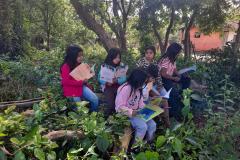 Foto de um grupo de estudantes indígenas lendo embaixo de árvores