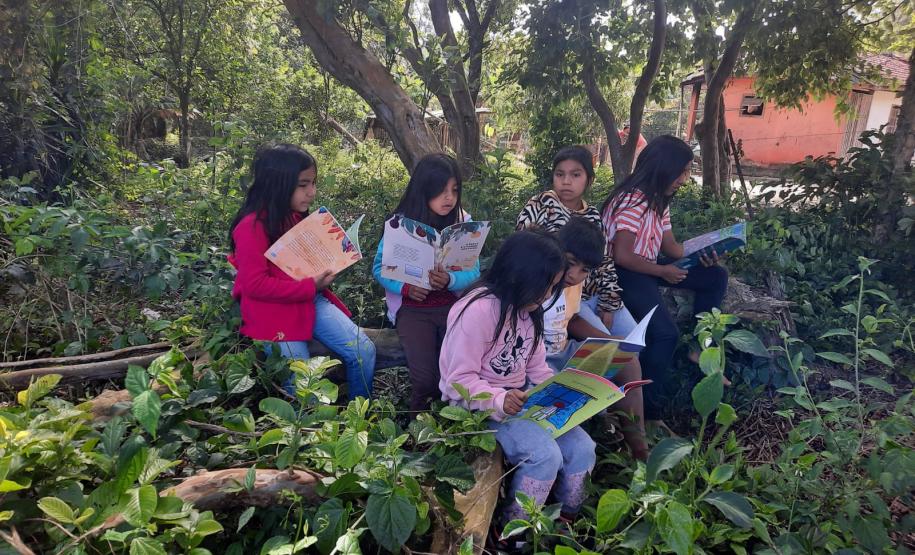 Foto de um grupo de estudantes indígenas lendo embaixo de árvores