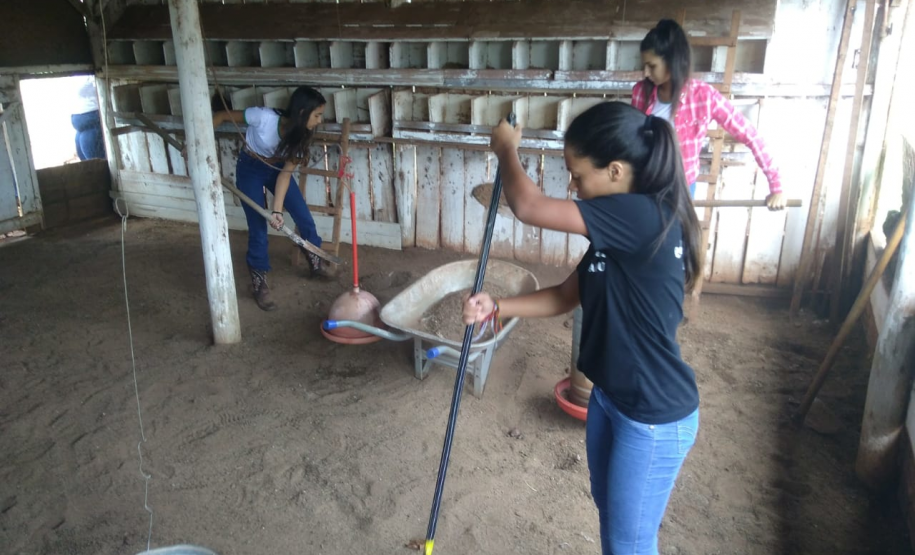 Estudantes limpando e arrumando o galinheiro