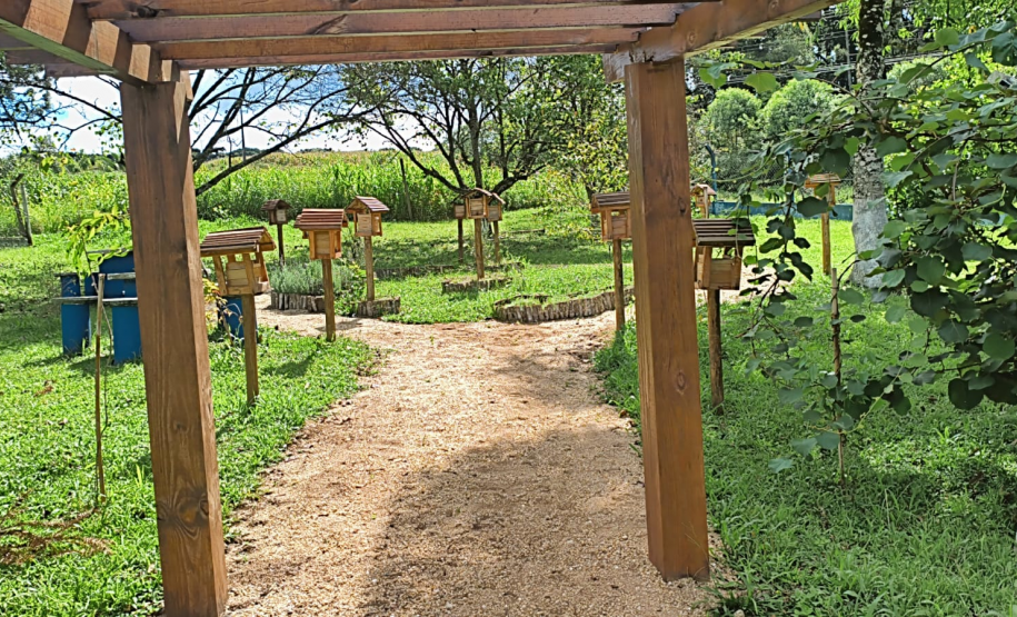 Pergolado da entrada do meliponário do CEEPA São Mateus